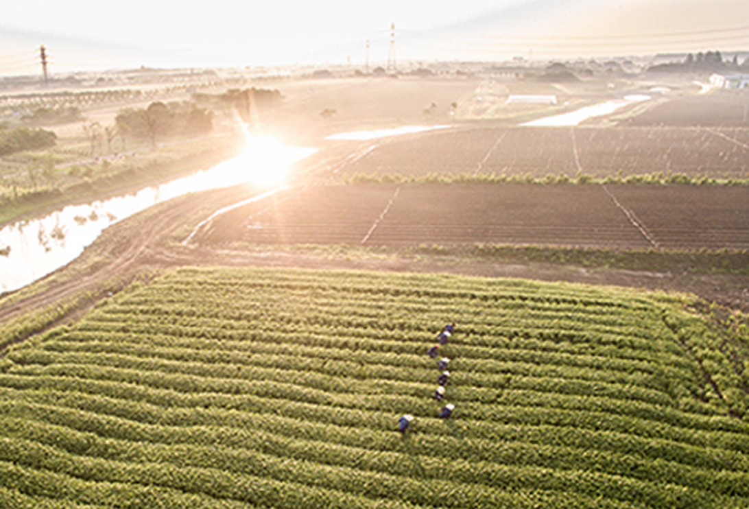 こだわりのサステナビリティとトレーサビリティ