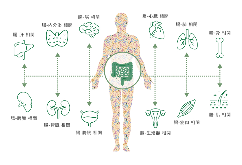 第二の遺伝子「マイクロバイオーム」｜日本アムウェイ(Amway)公式企業