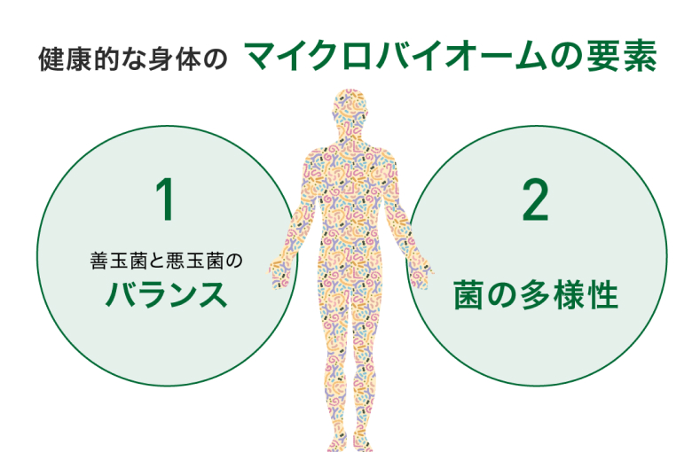 ヒトマイクロバイオーム 2* 概要)ヒトマイクロバイオーム Vol.2 ～解析技術の進展とデータ