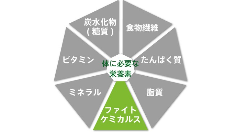 植物だけがもつ特別な力「ファイトケミカルス」｜日本アムウェイ(Amway