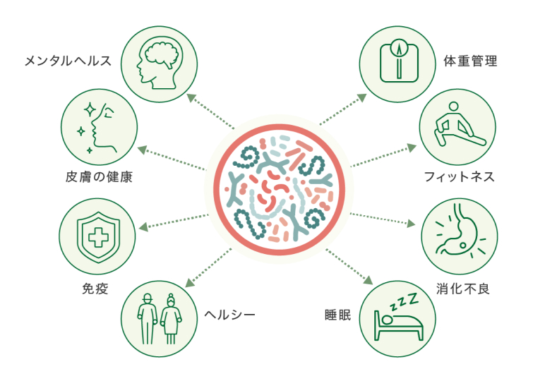 第二の遺伝子「マイクロバイオーム」｜日本アムウェイ(Amway