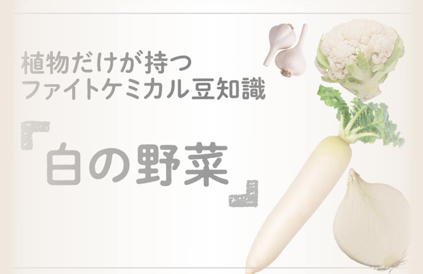 栄養失調とは？影響や対策・注意点まで解説｜日本アムウェイ（Amway