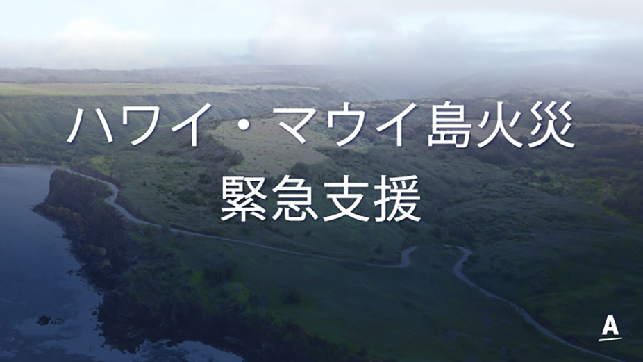 日本アムウェイ 日本赤十字社『2023年アメリカ・ハワイ火災救援金』に寄付
